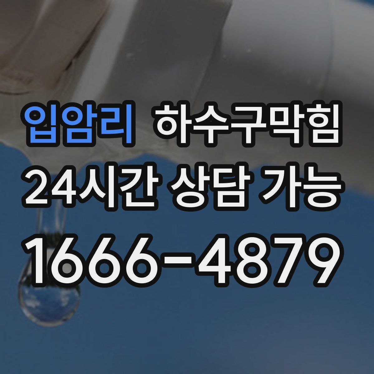 입암리 하수구막힘