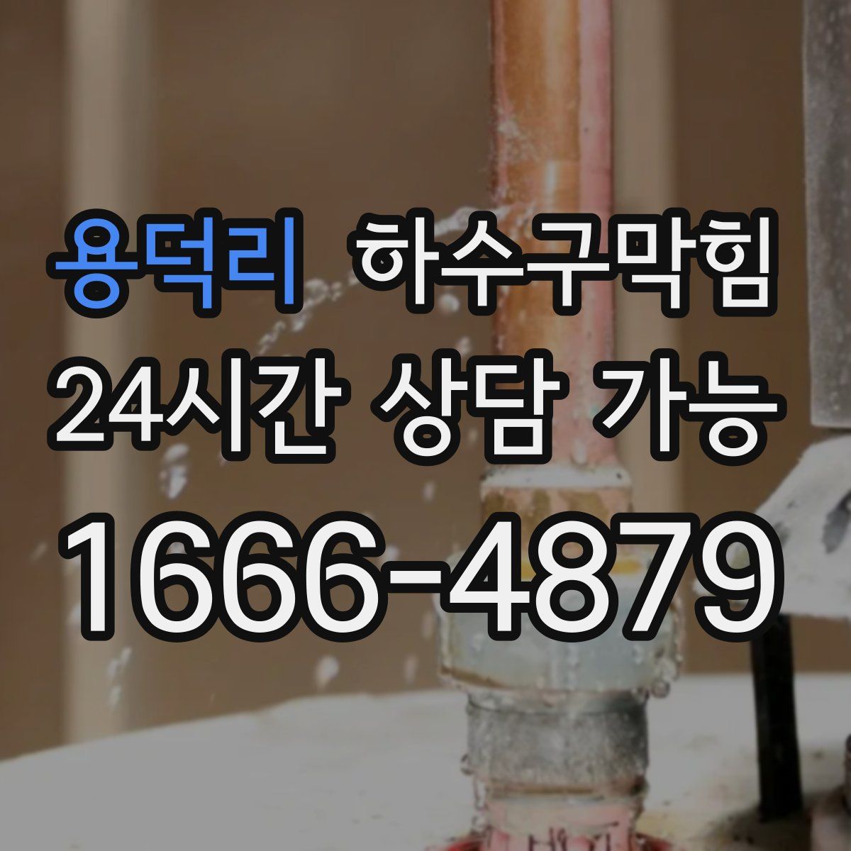 용덕리 하수구막힘