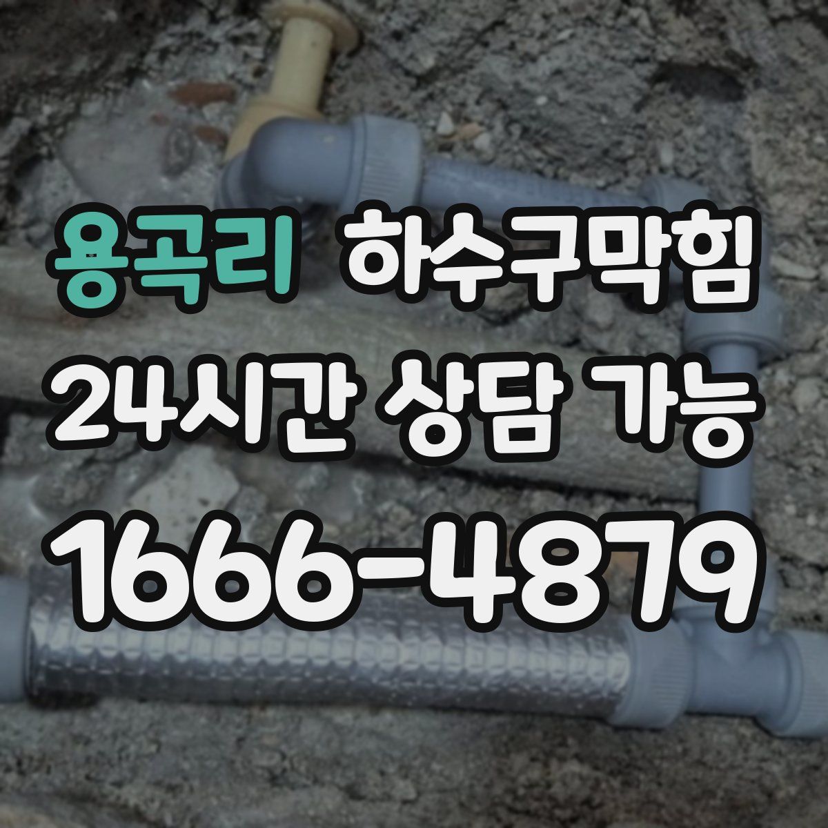 용곡리 하수구막힘