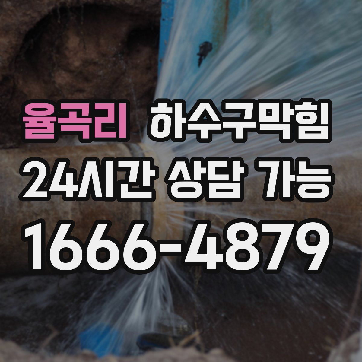 율곡리 하수구막힘