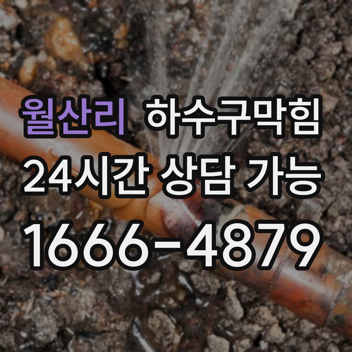 월산리 하수구막힘