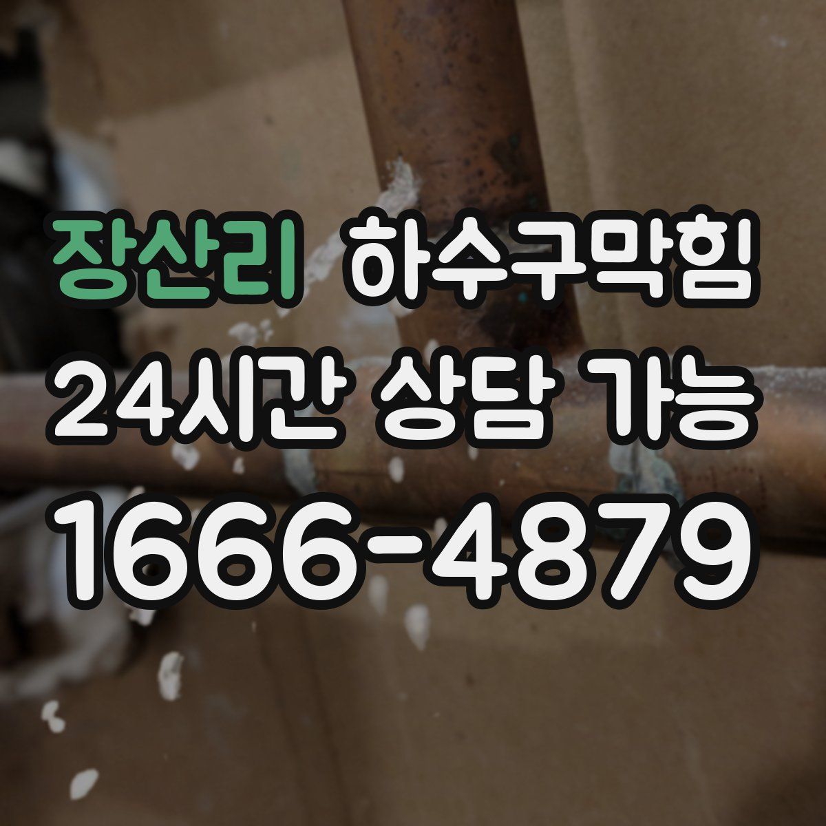 장산리 하수구막힘