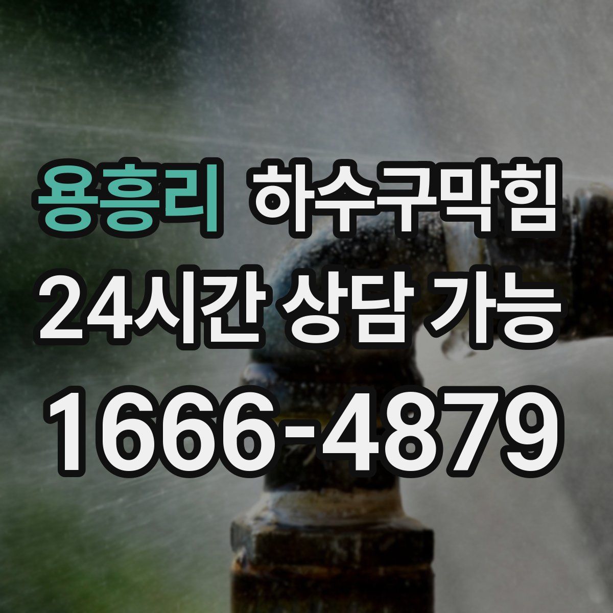 용흥리 하수구막힘