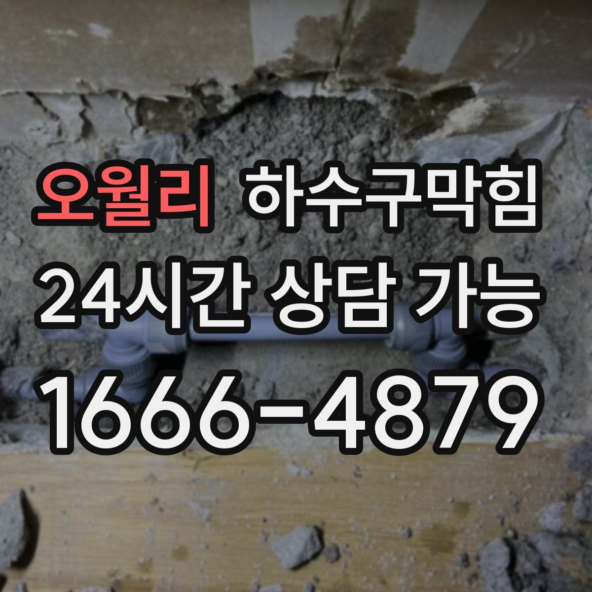 오월리 하수구막힘