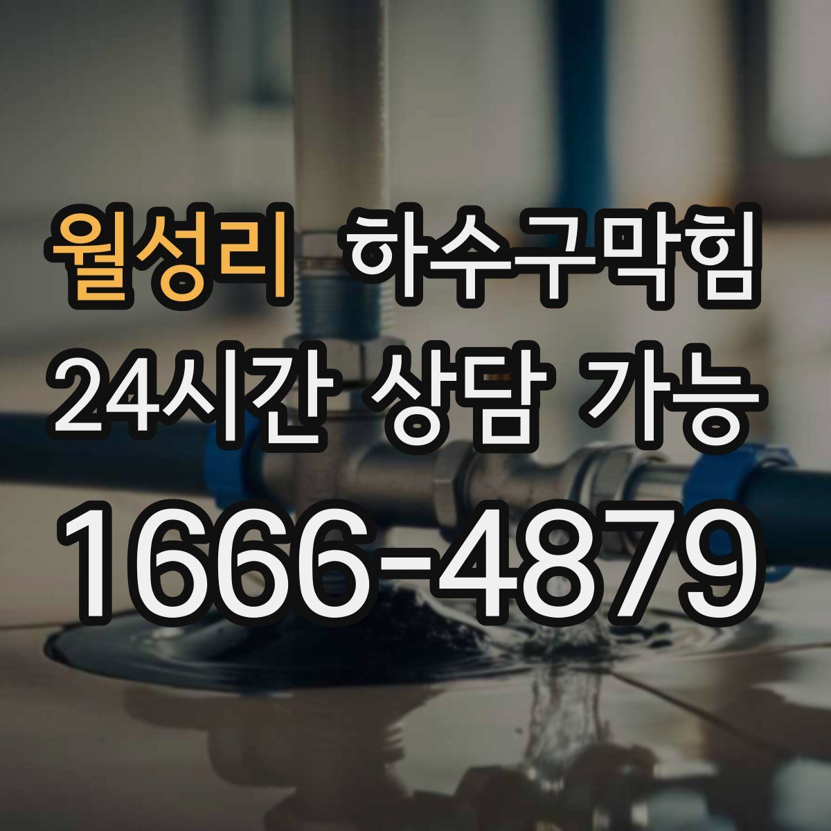 월성리 하수구막힘