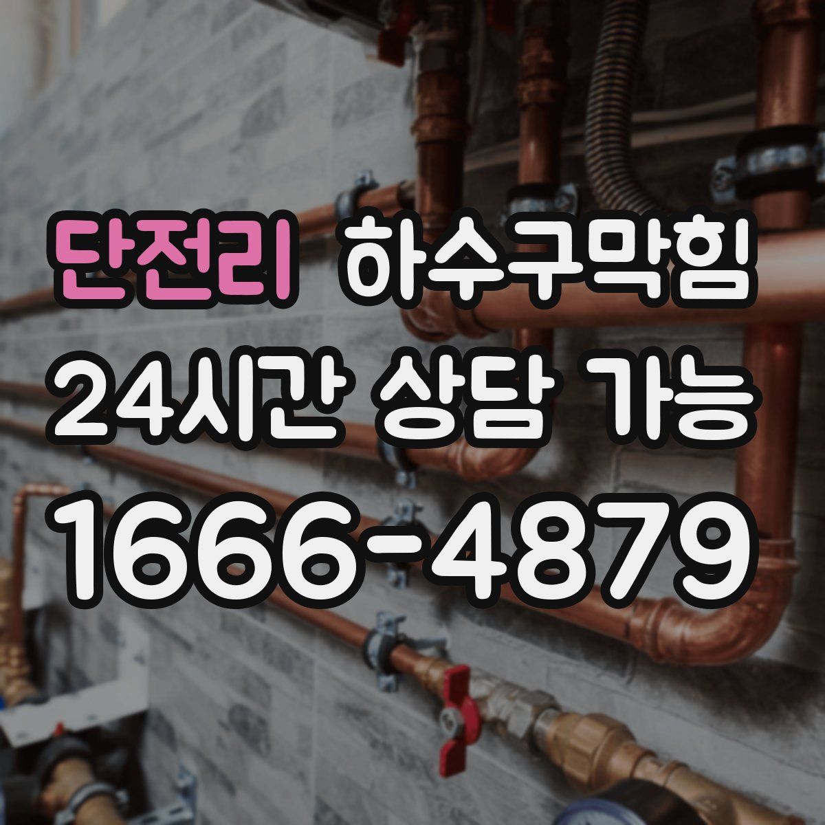 단전리 하수구막힘