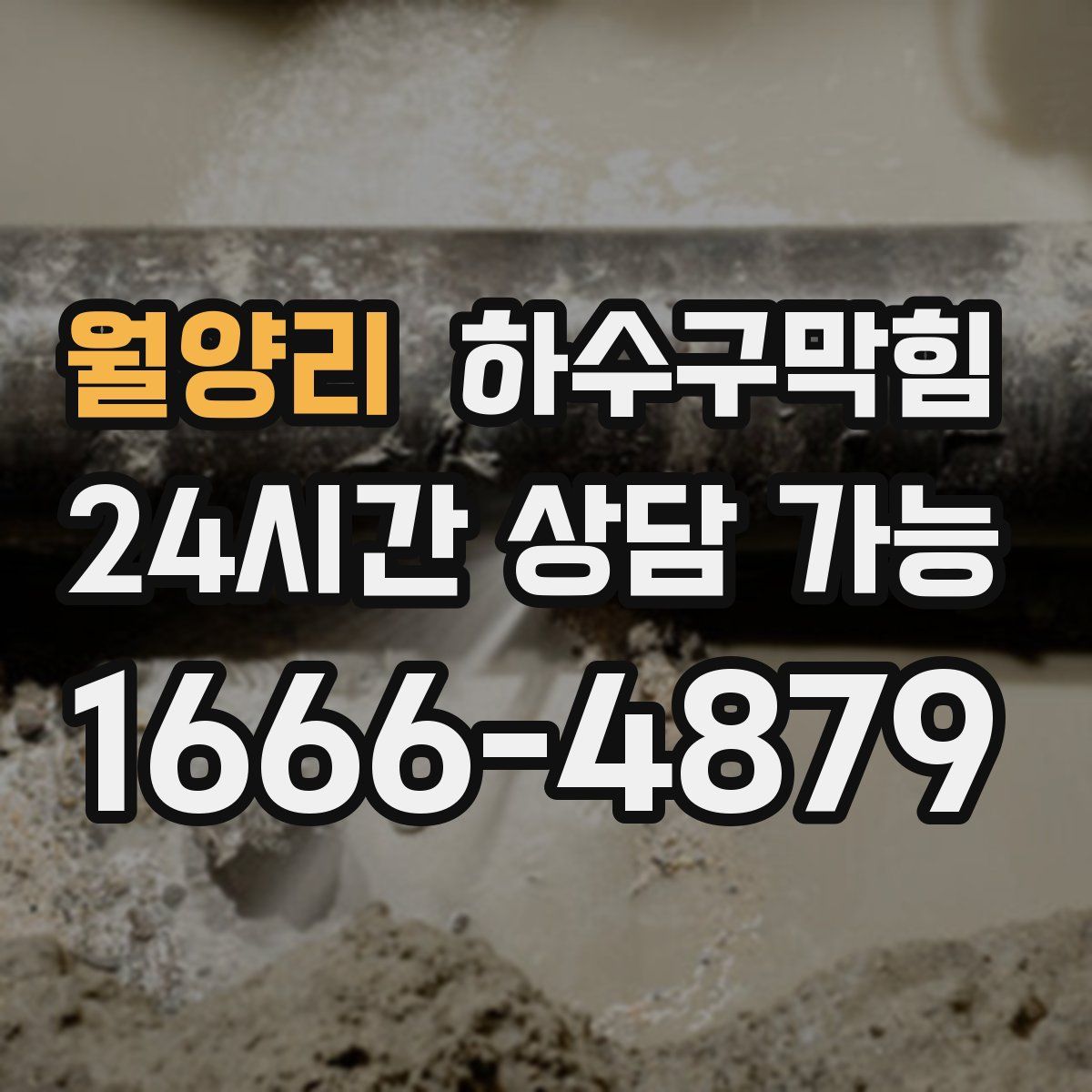 월양리 하수구막힘