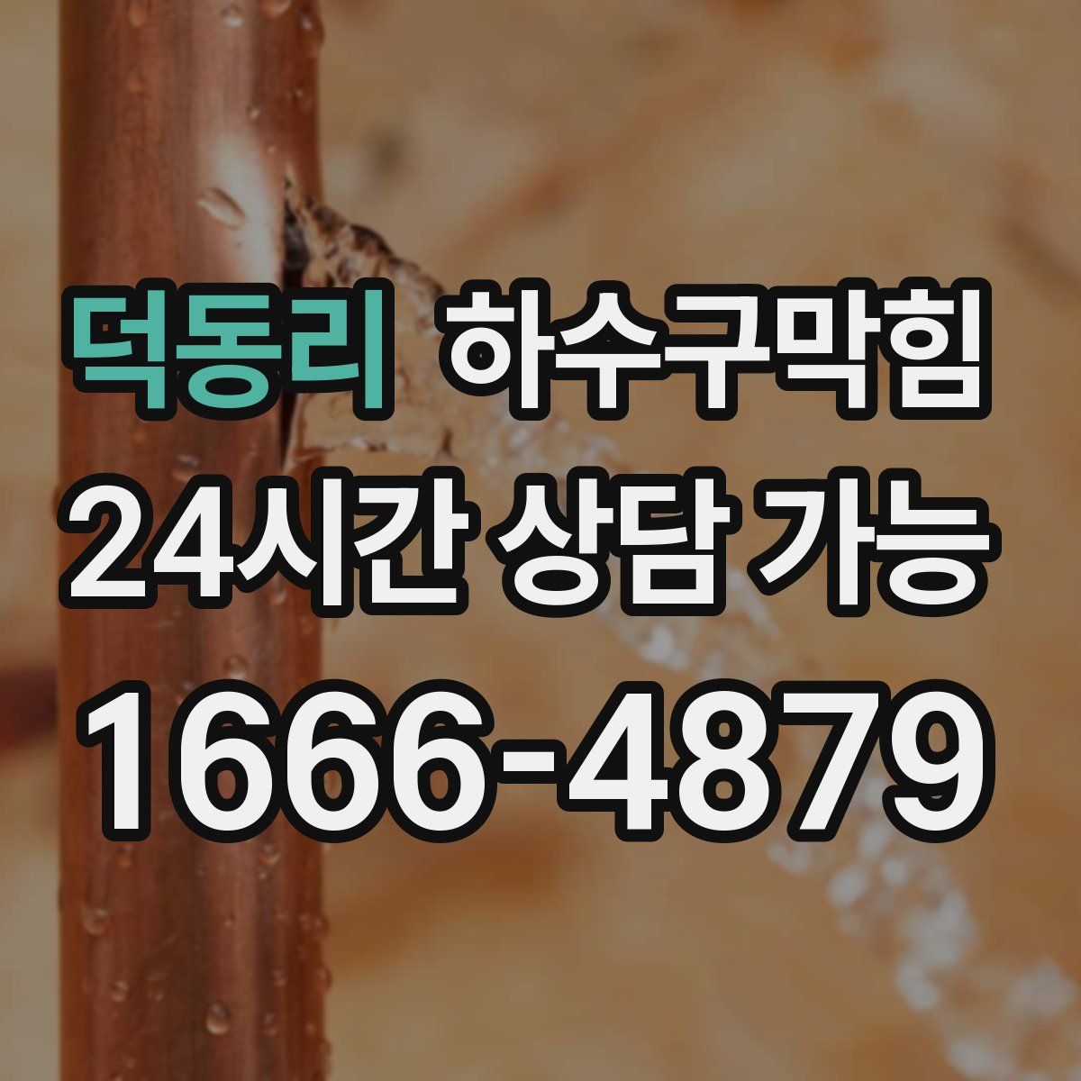 덕동리 하수구막힘