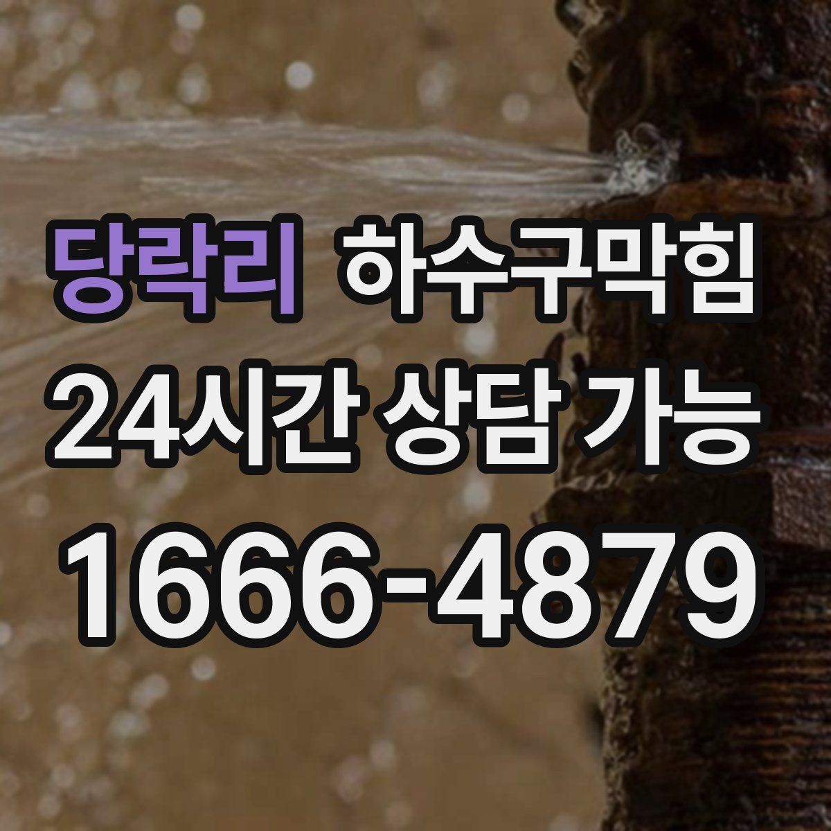 당락리 하수구막힘