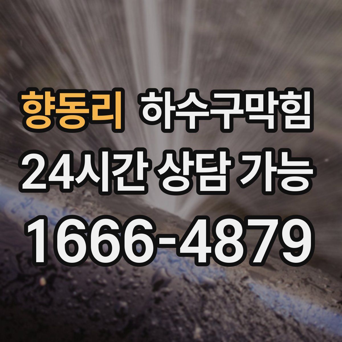 향동리 하수구막힘