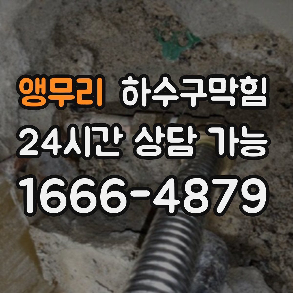 앵무리 하수구막힘