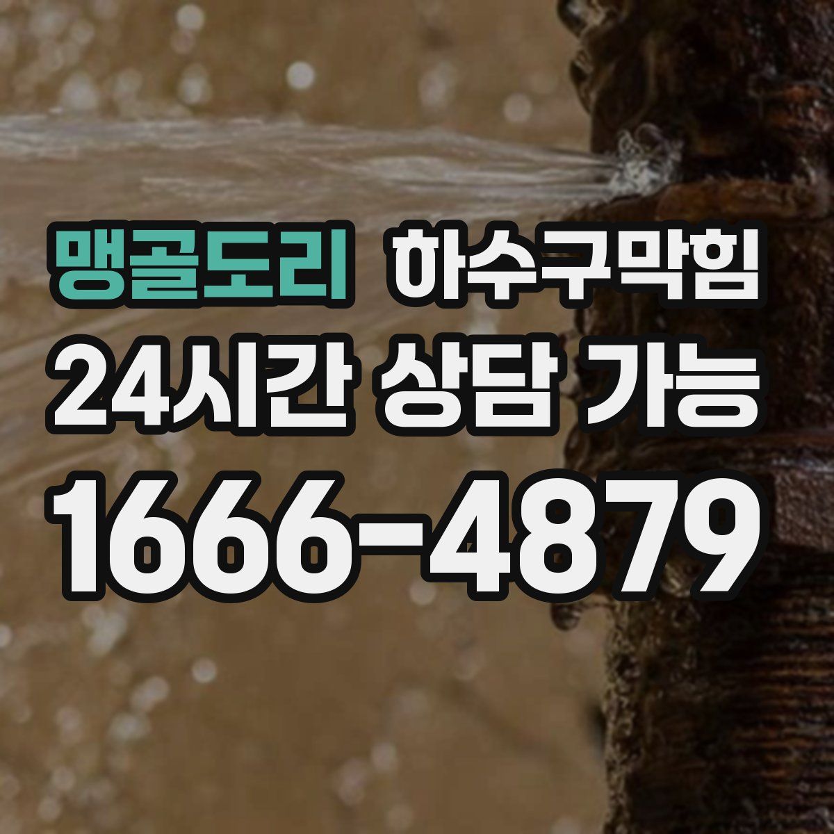 맹골도리 하수구막힘