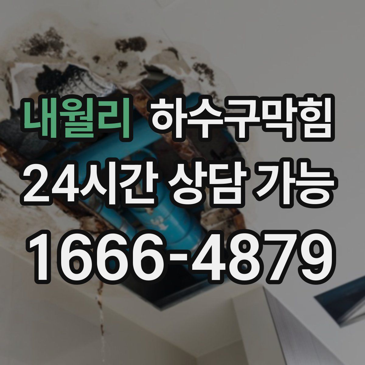 내월리 하수구막힘