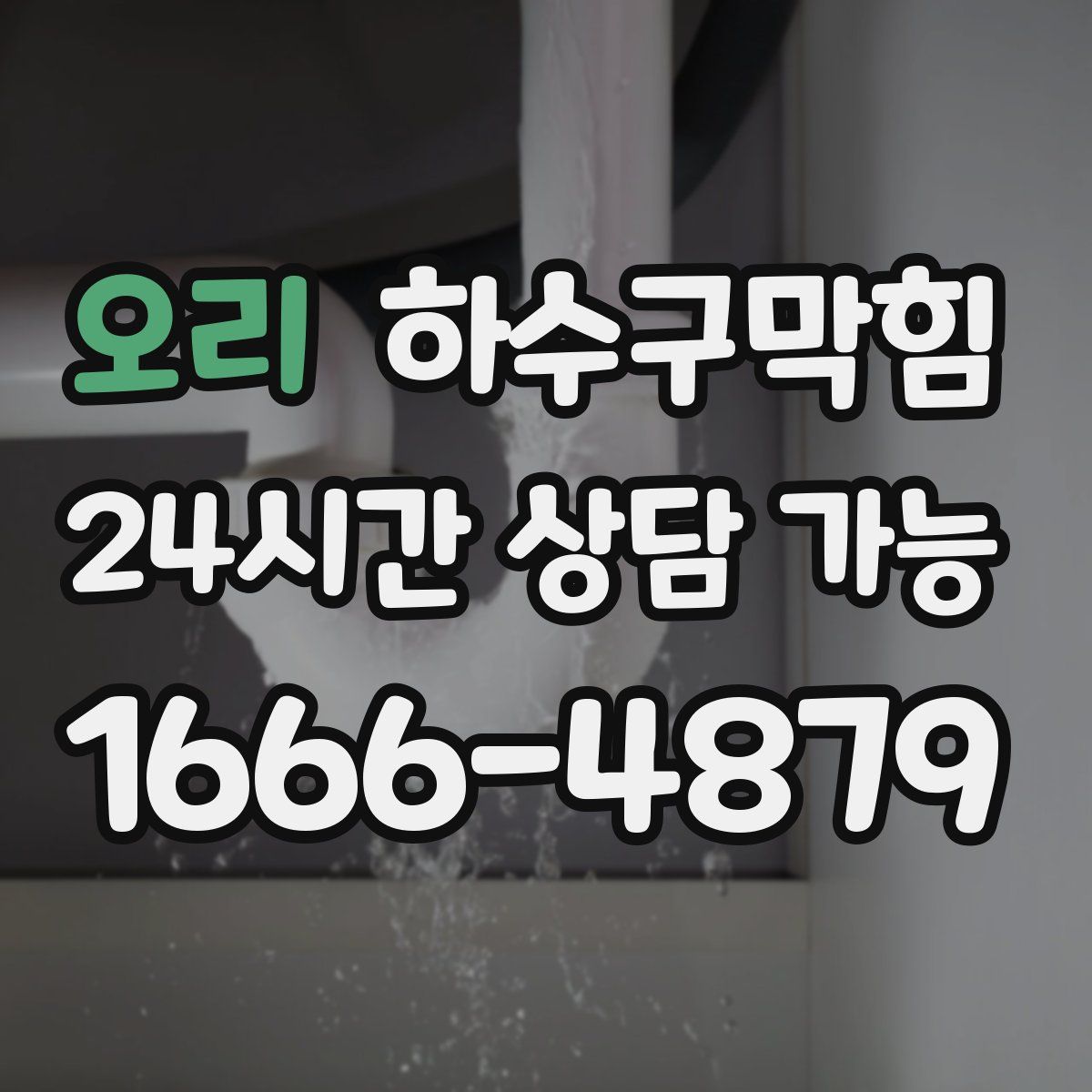 오리 하수구막힘