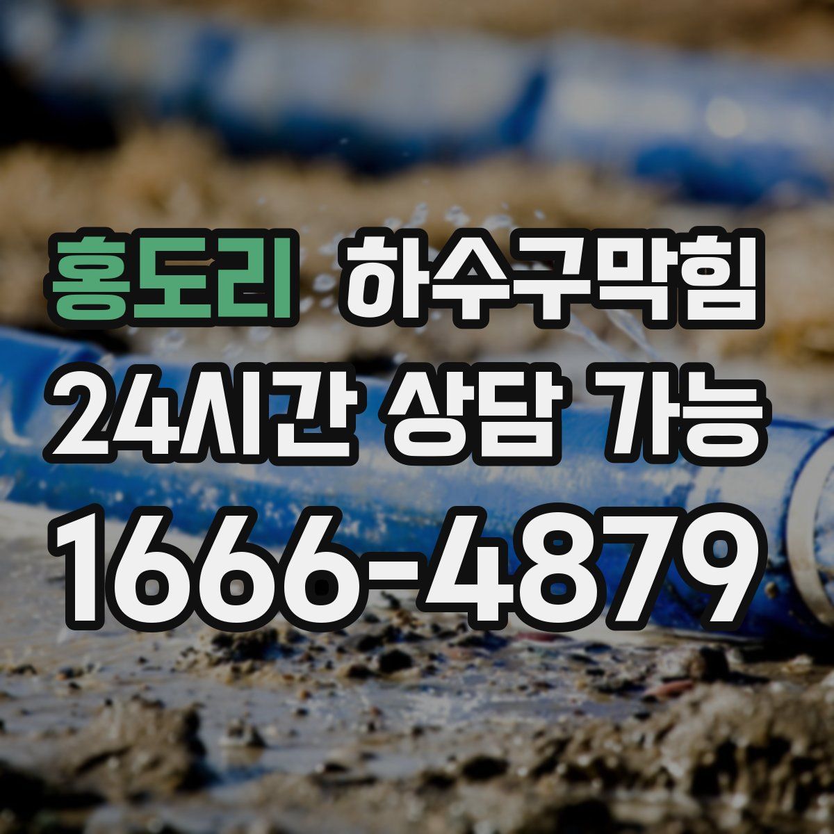 홍도리 하수구막힘