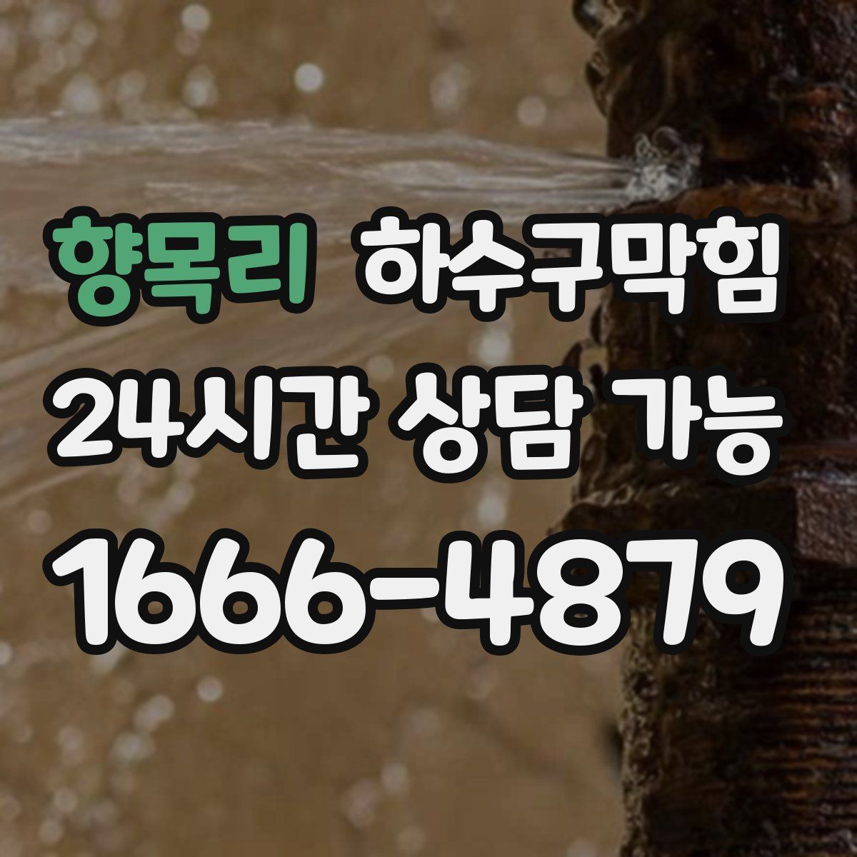 향목리 하수구막힘