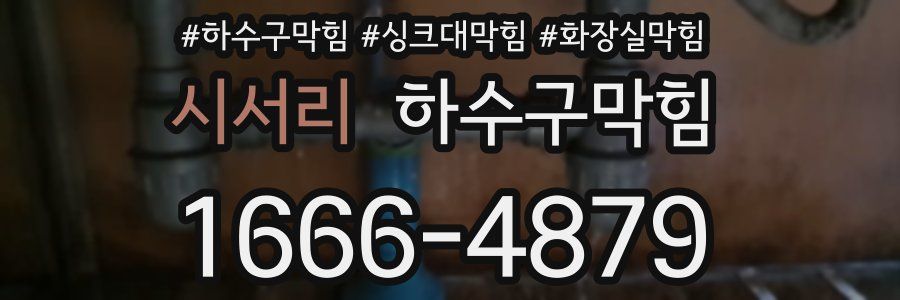 하수구막힘