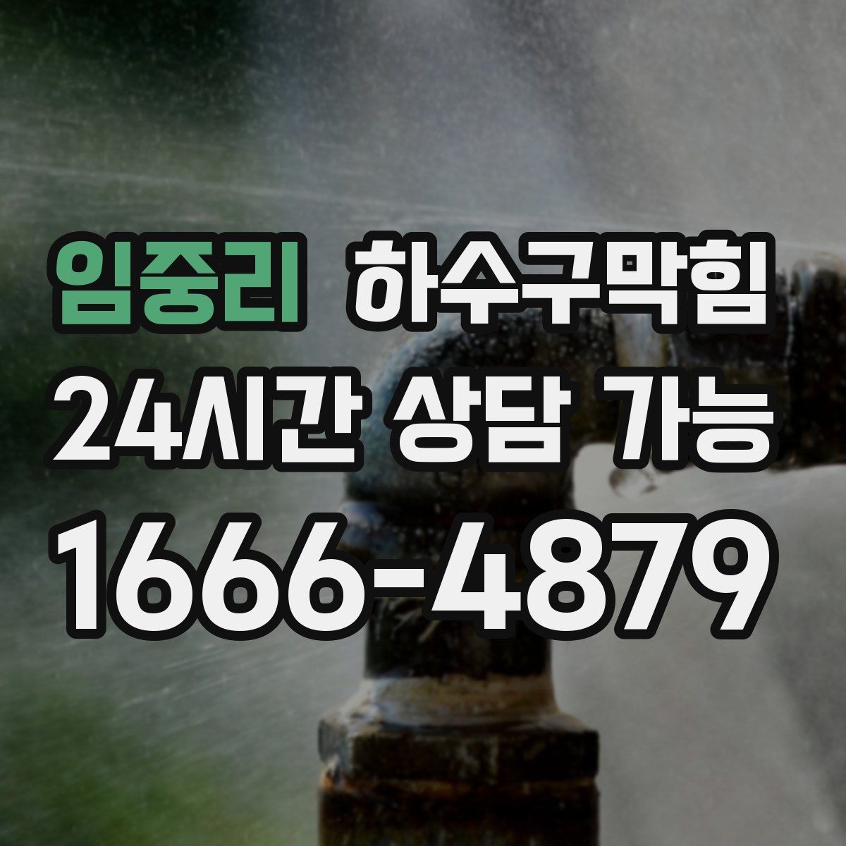 임중리 하수구막힘