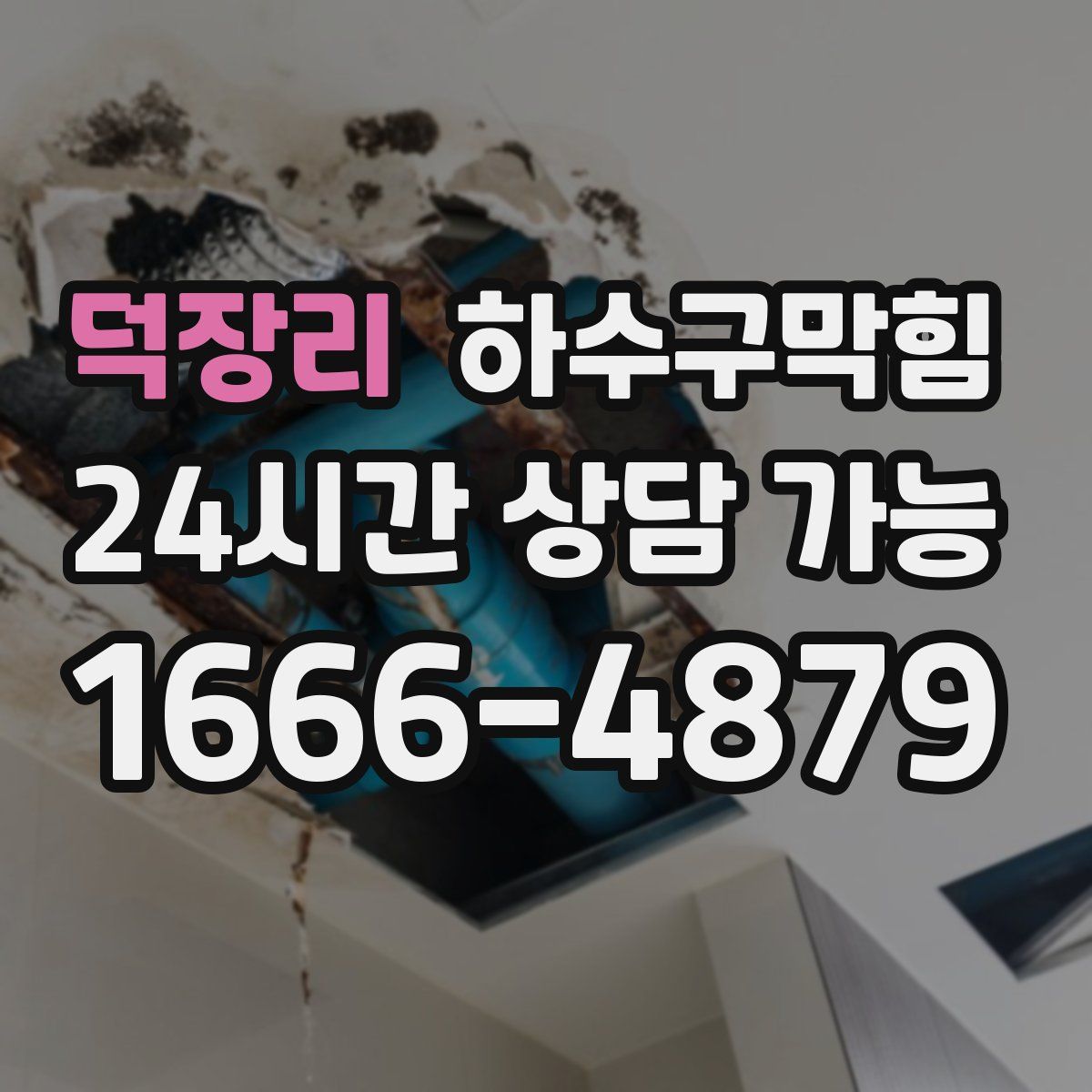 덕장리 하수구막힘