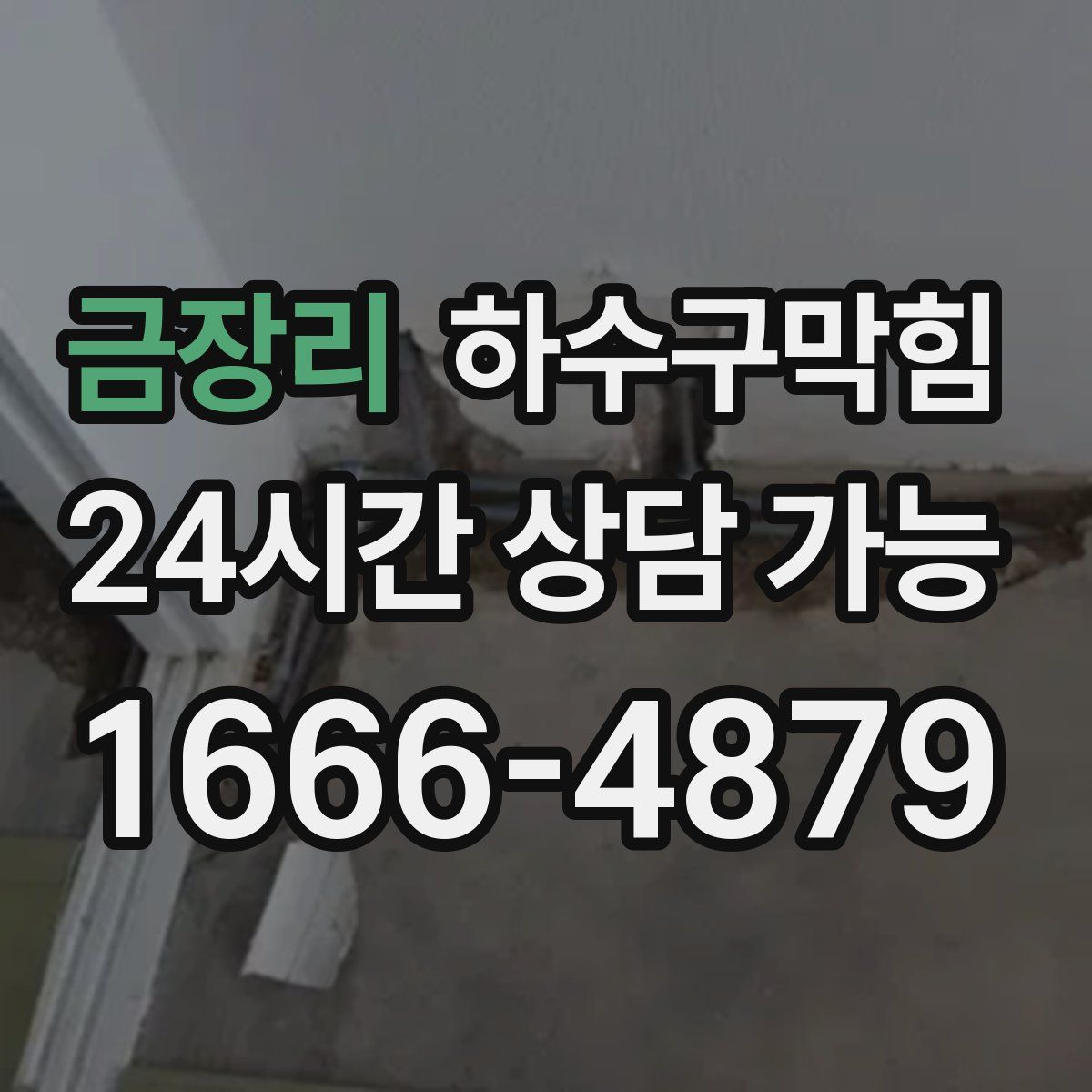 금장리 하수구막힘