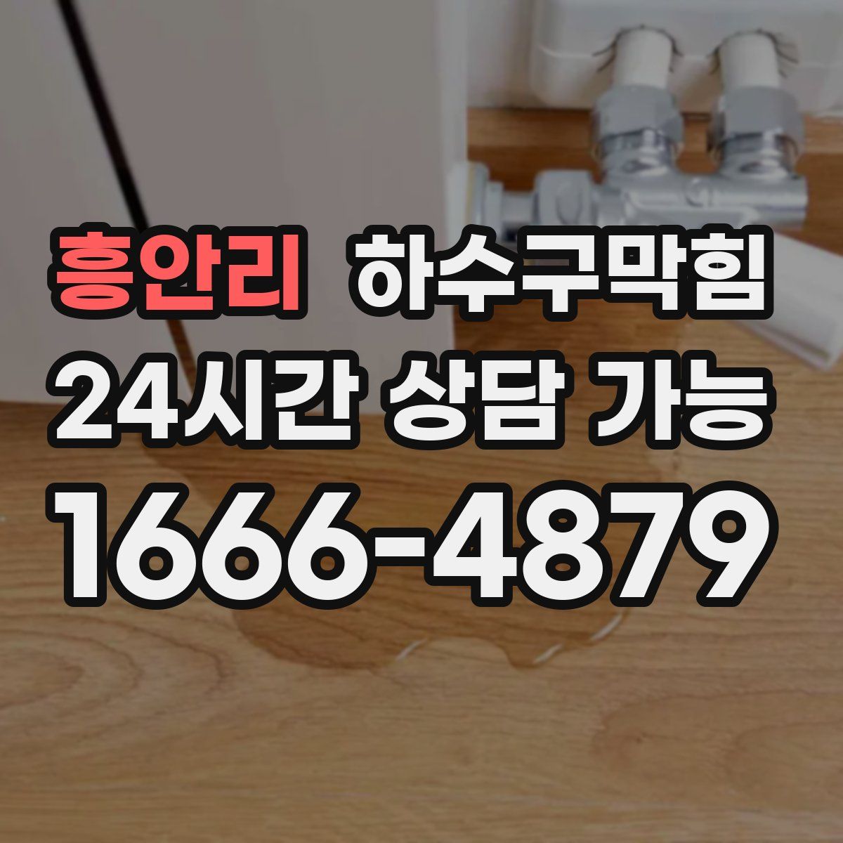 흥안리 하수구막힘