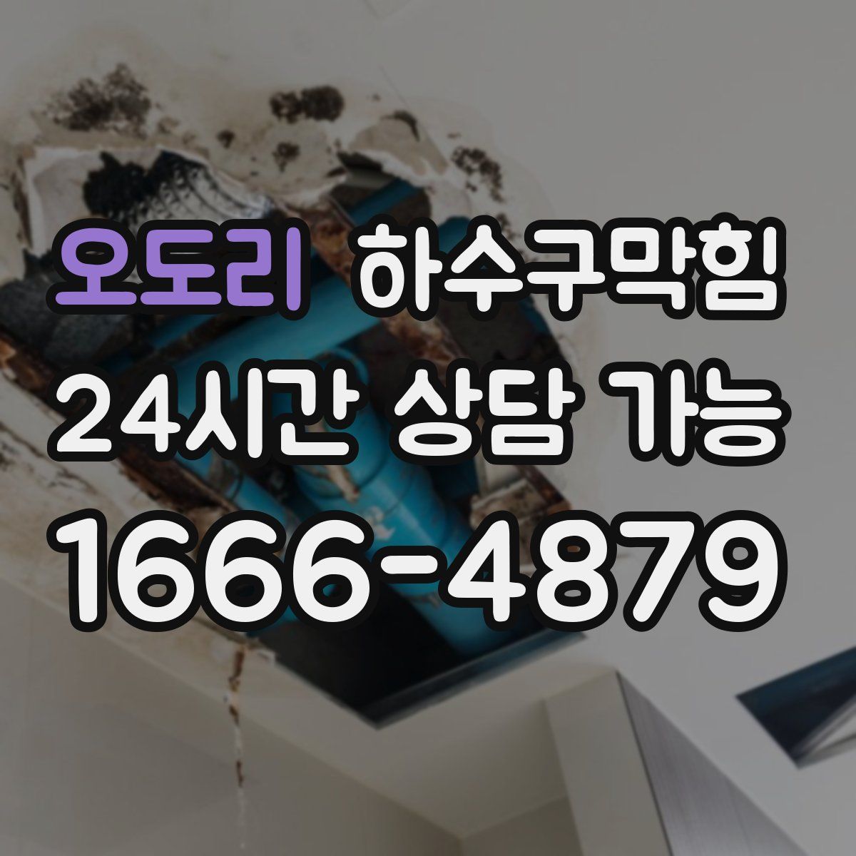 오도리 하수구막힘