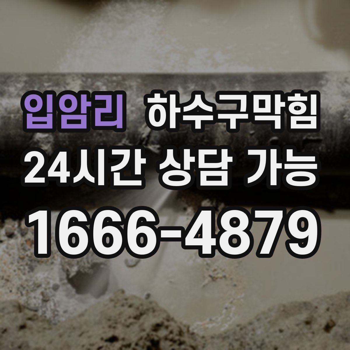 입암리 하수구막힘