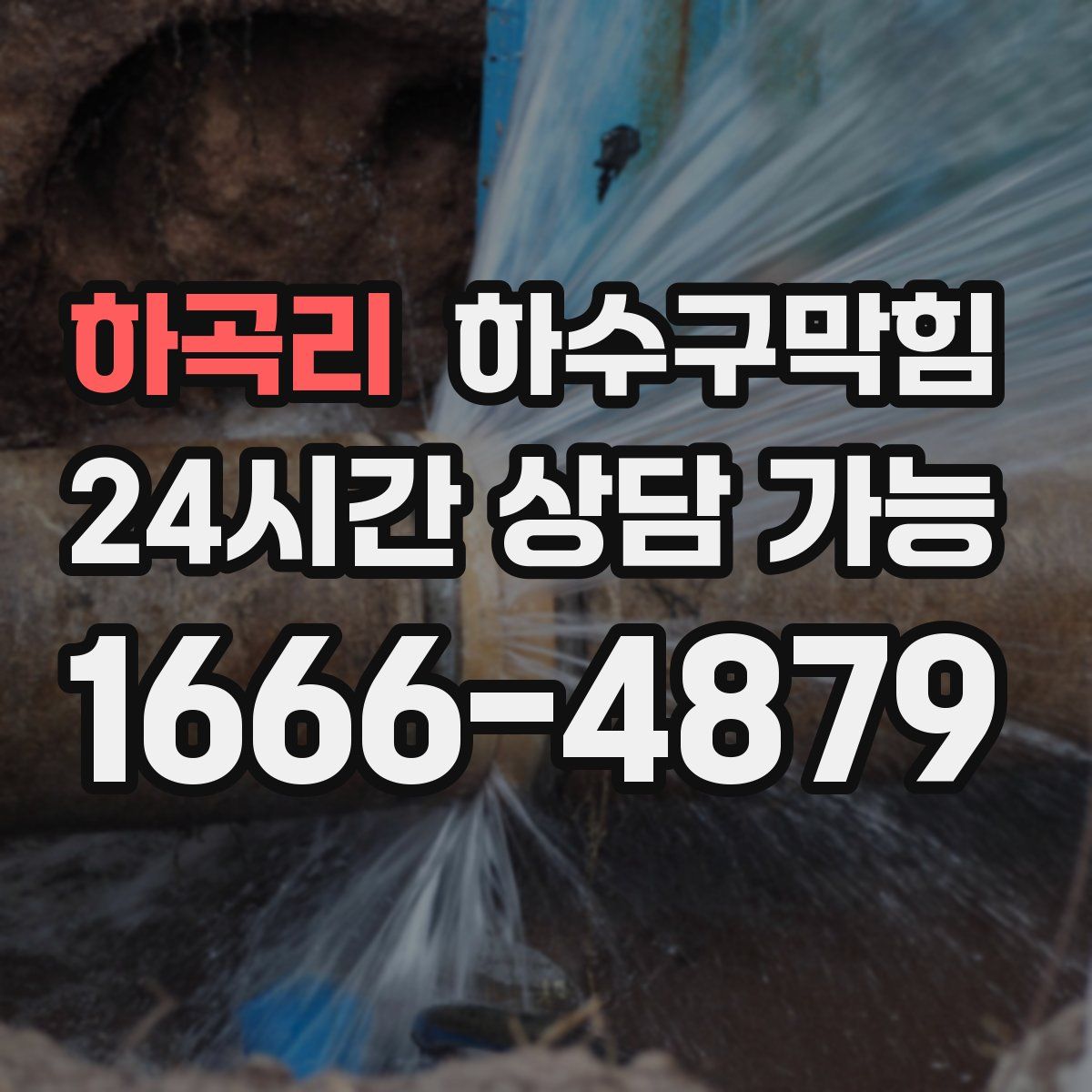 하곡리 하수구막힘