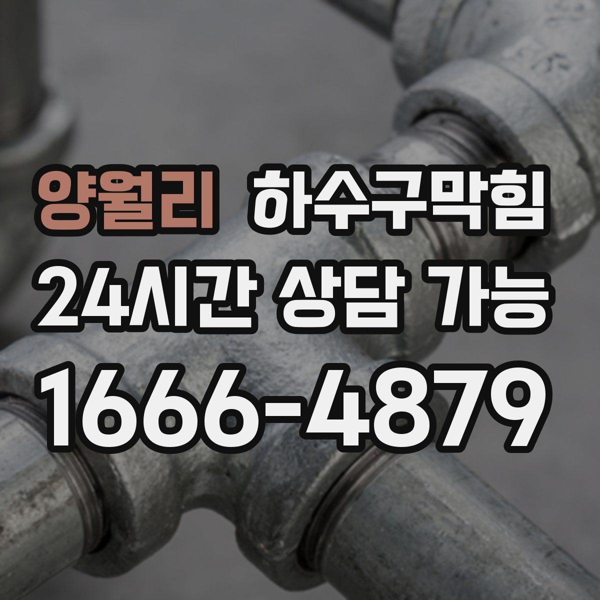 양월리 하수구막힘