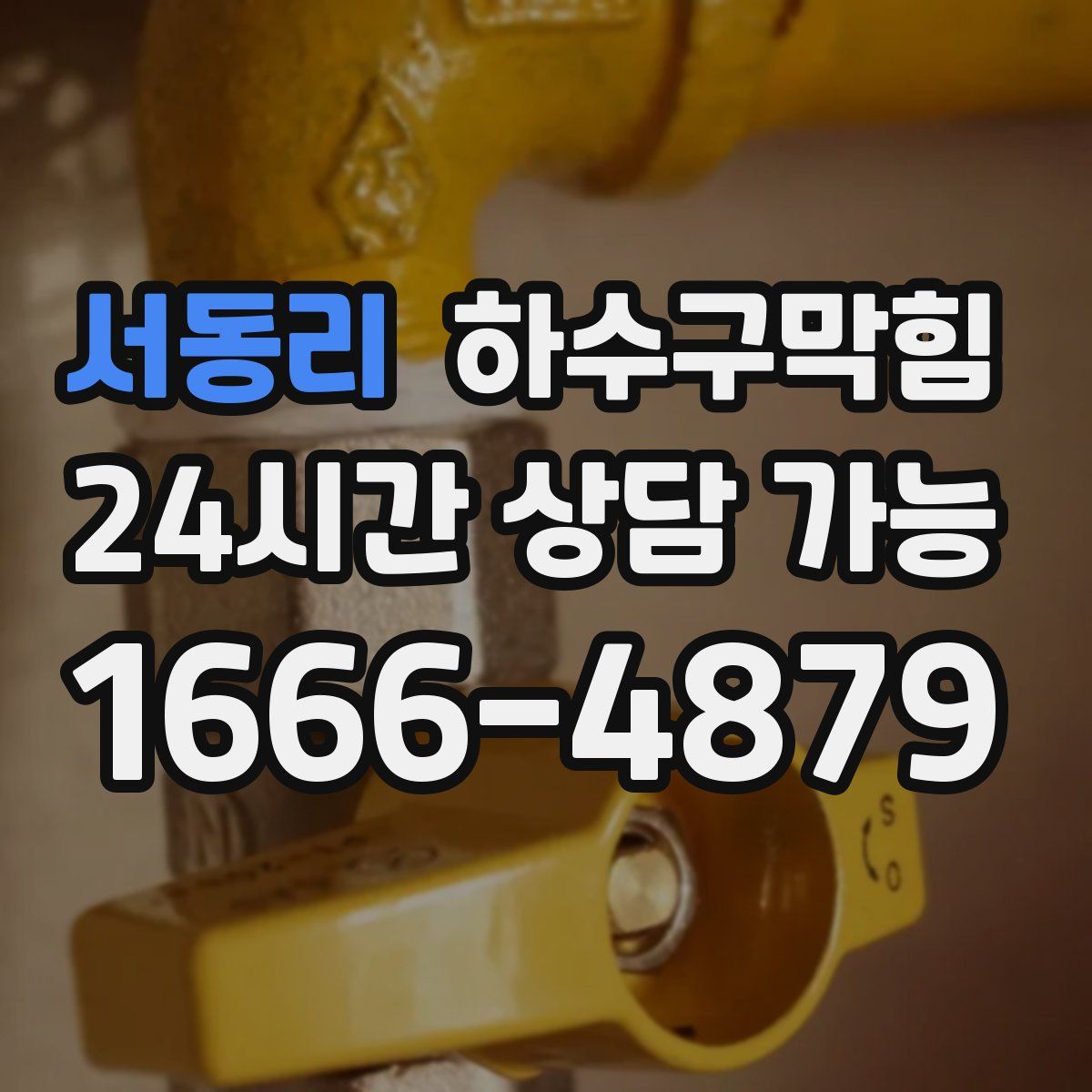 서동리 하수구막힘