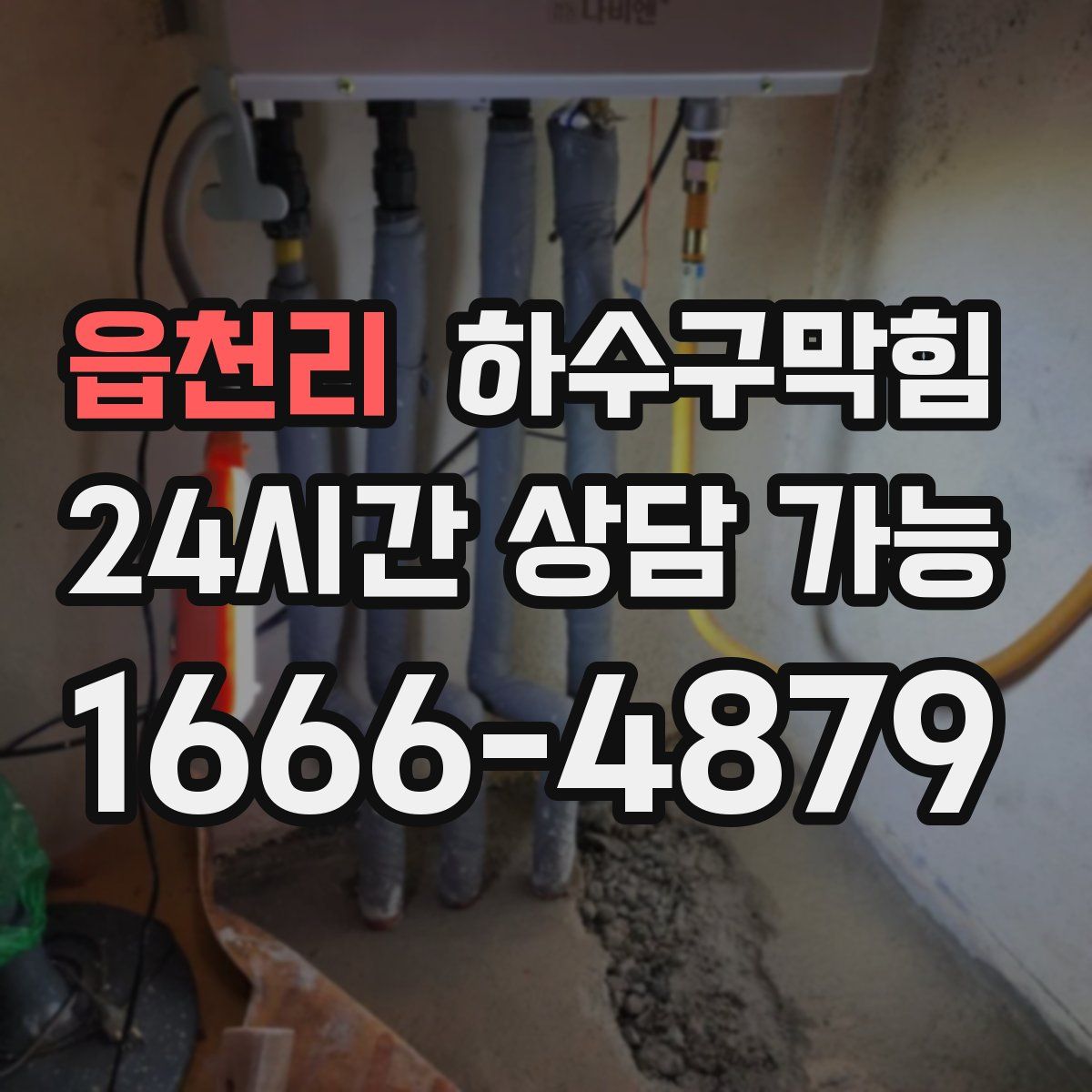 읍천리 하수구막힘