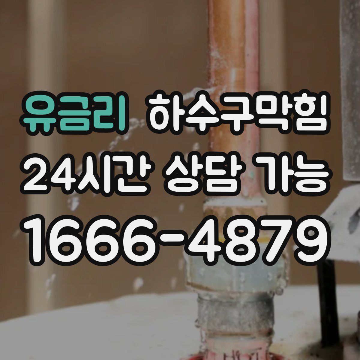 유금리 하수구막힘