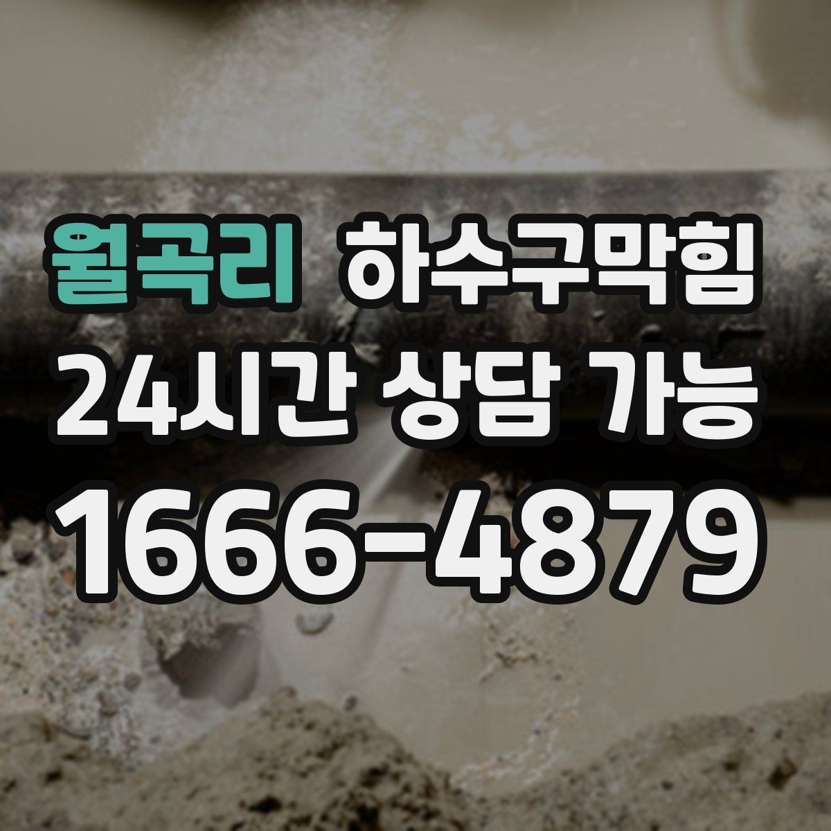 월곡리 하수구막힘