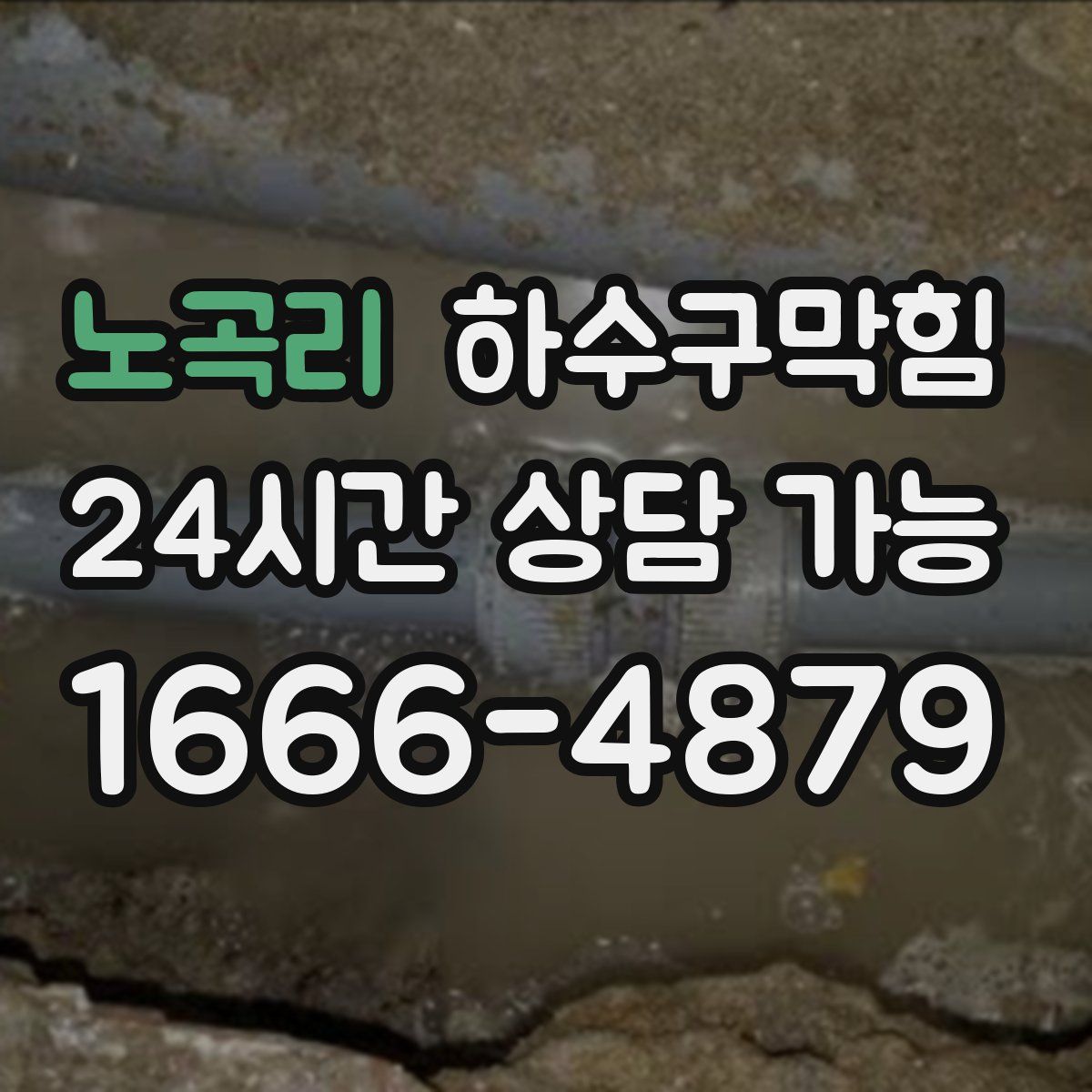 노곡리 하수구막힘