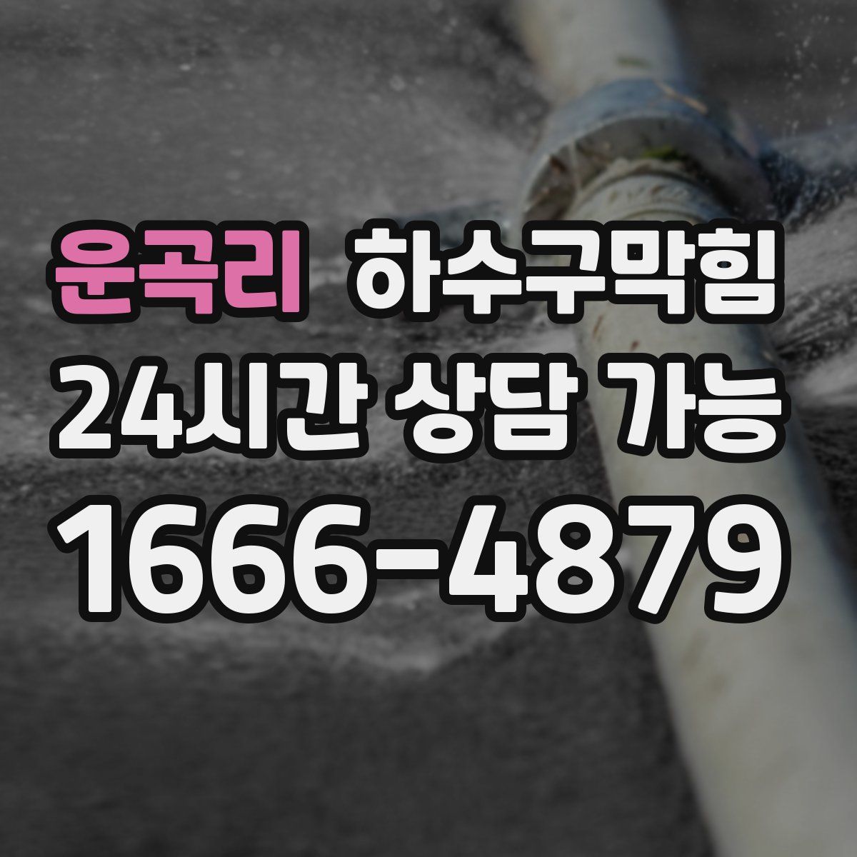 운곡리 하수구막힘