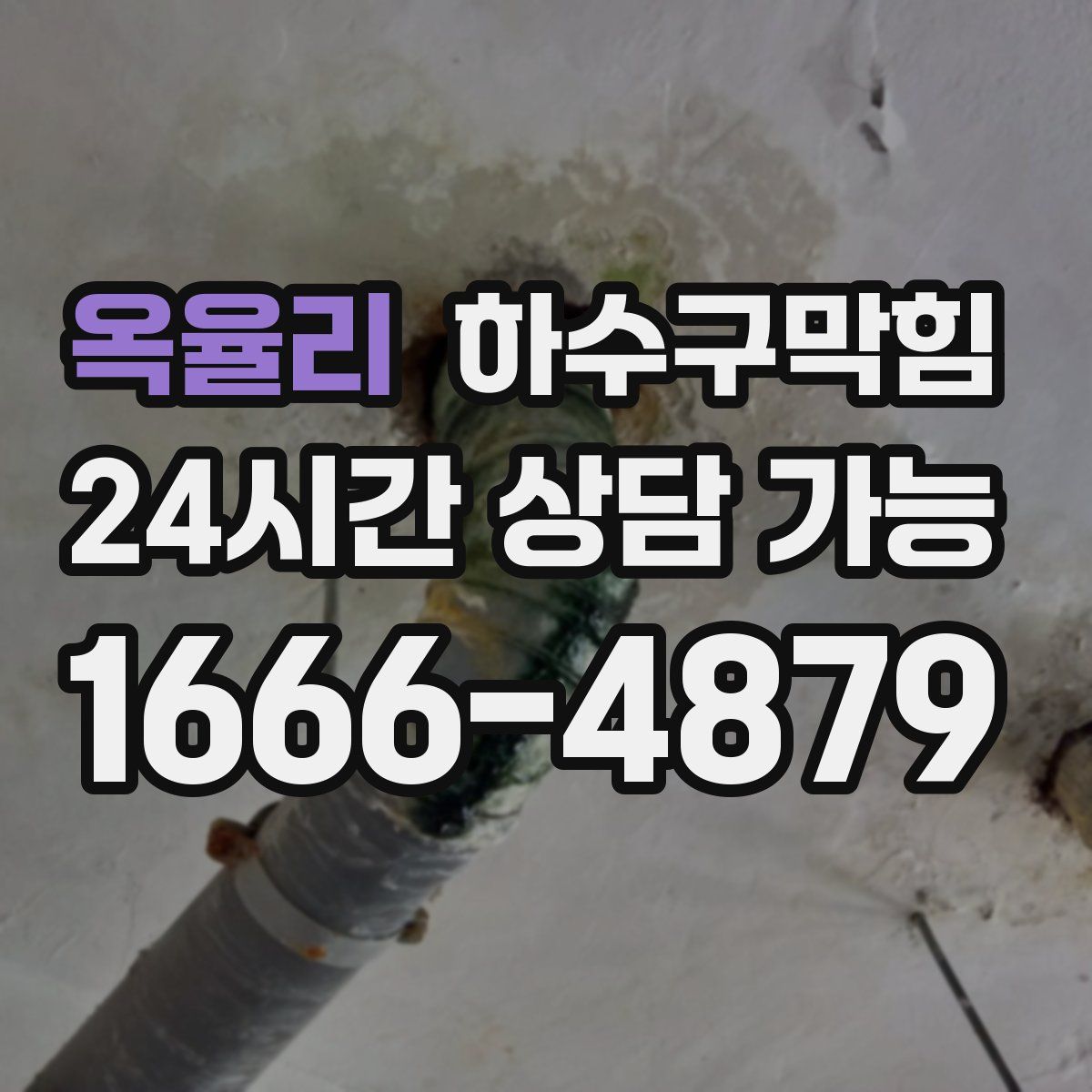 옥율리 하수구막힘