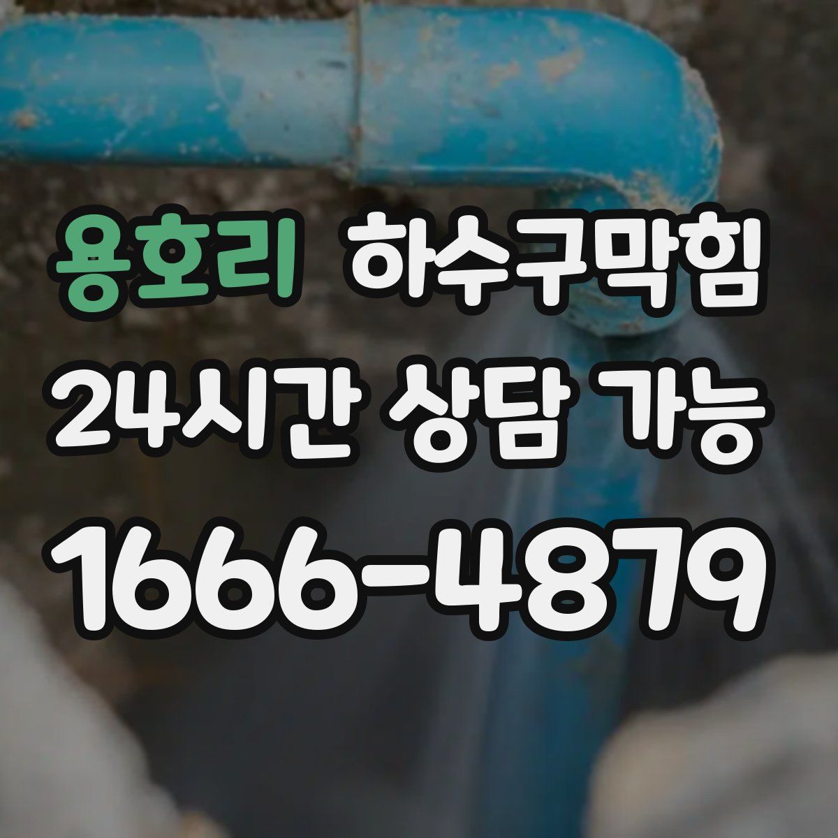 용호리 하수구막힘