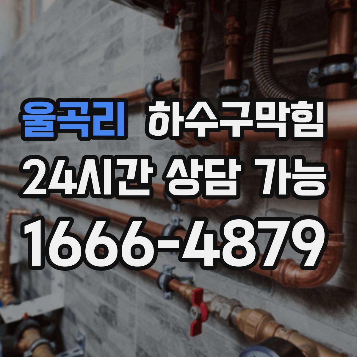 울곡리 하수구막힘