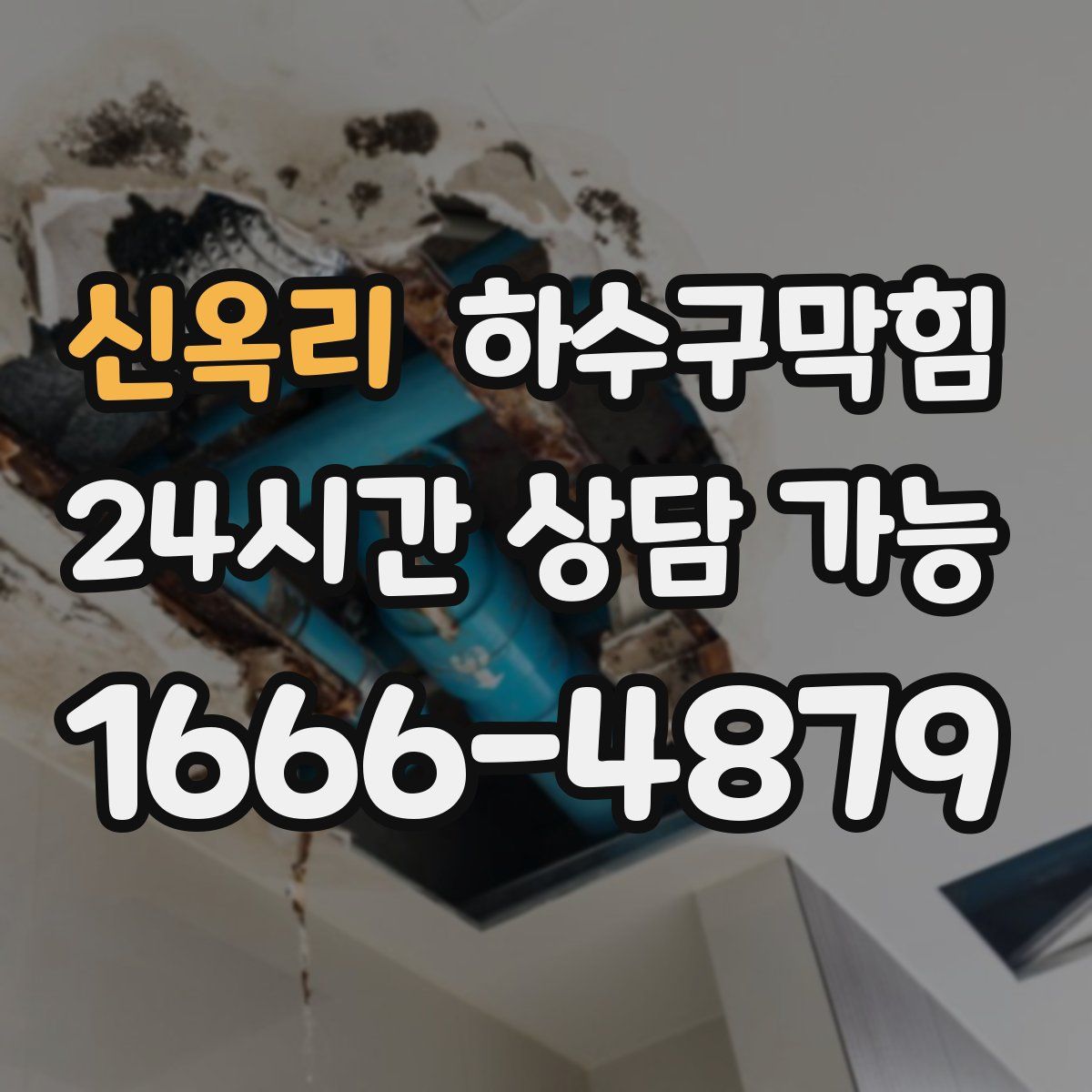 신옥리 하수구막힘