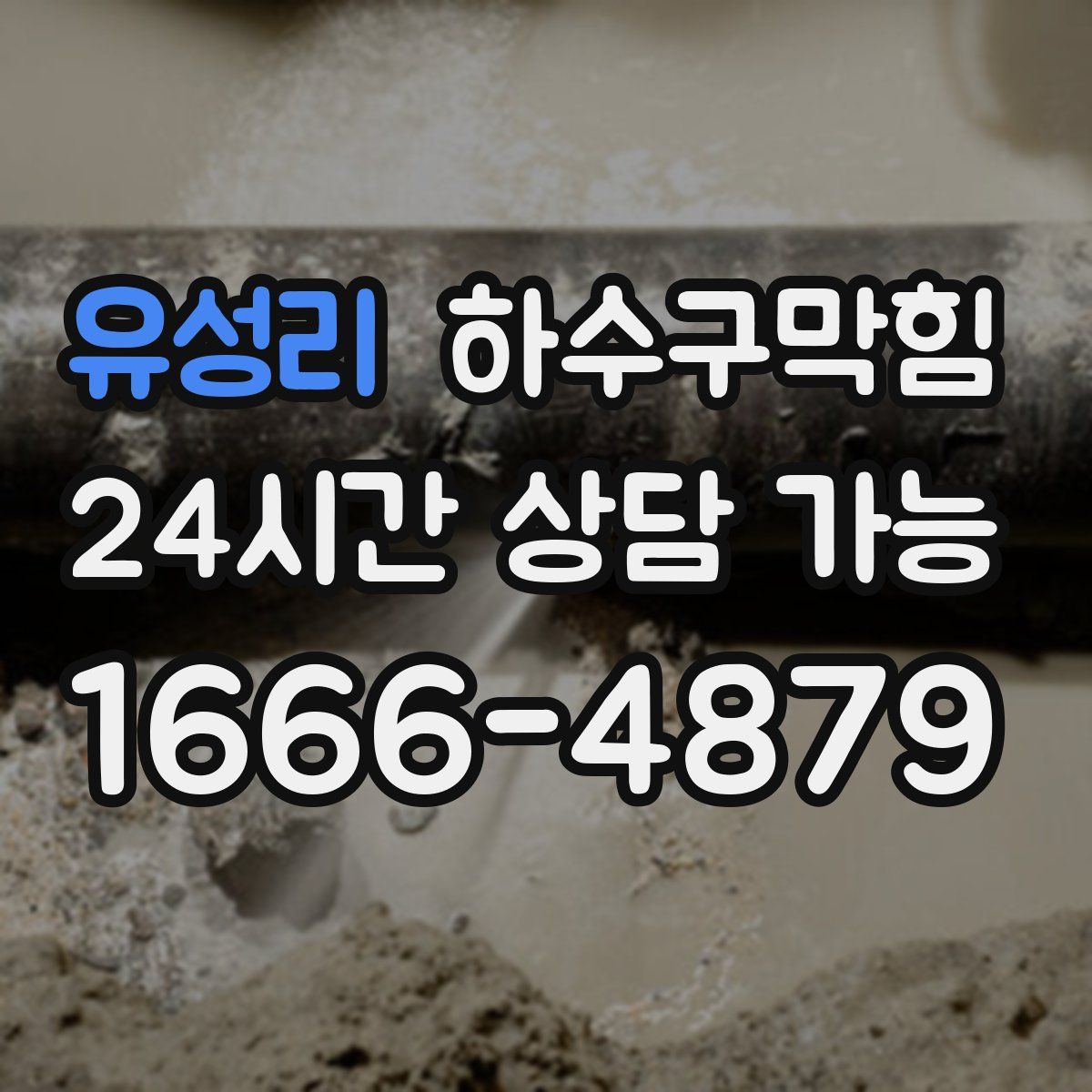 유성리 하수구막힘