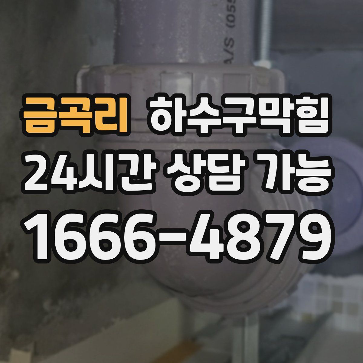 금곡리 하수구막힘