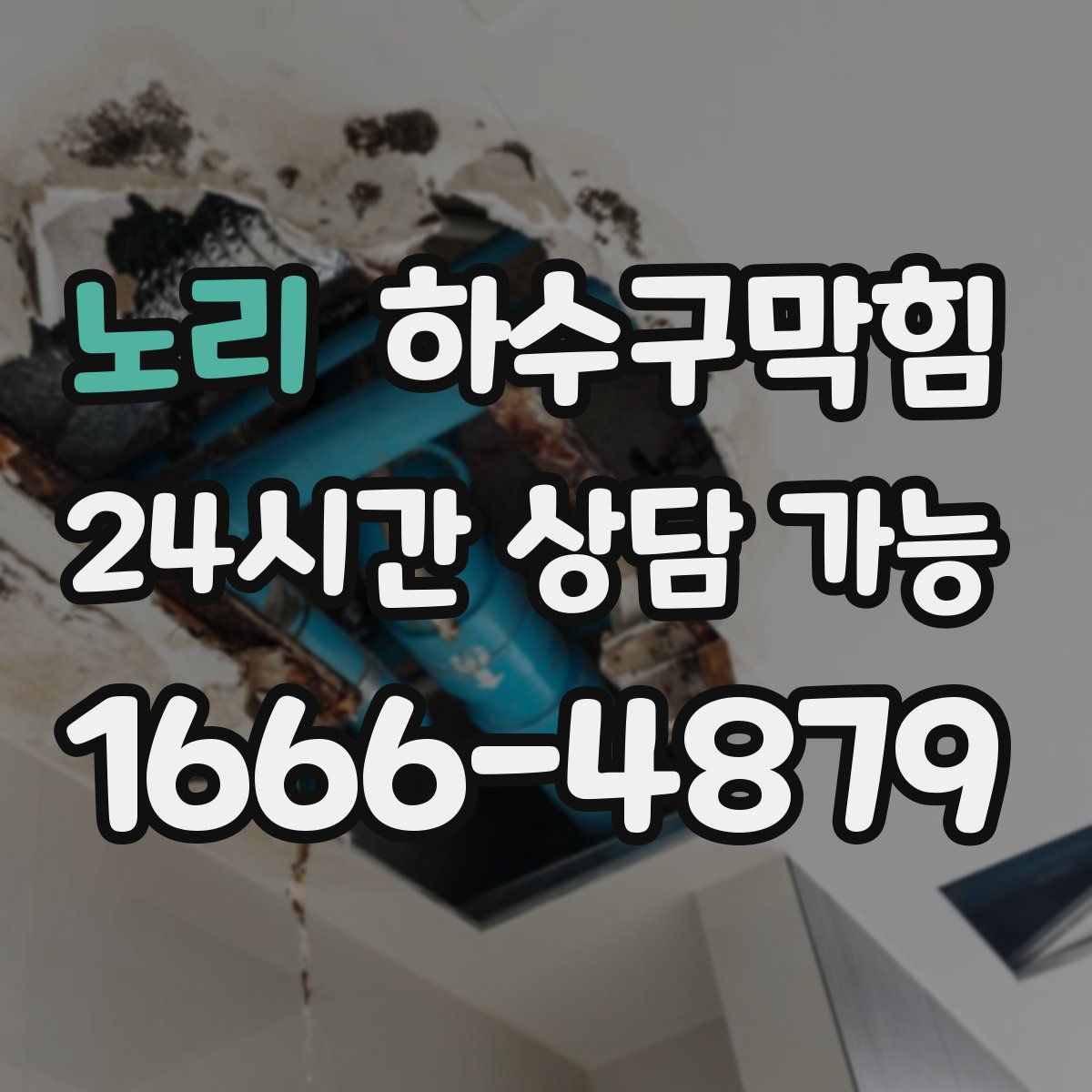 노리 하수구막힘