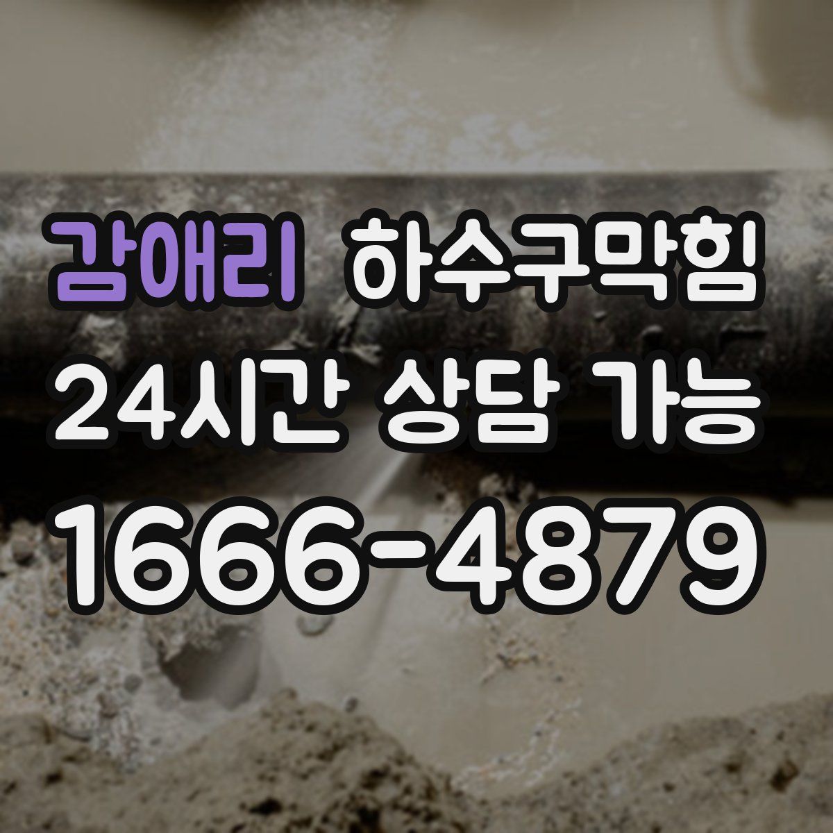 감애리 하수구막힘