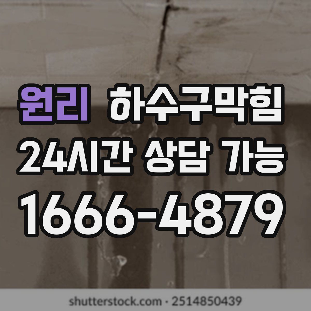 원리 하수구막힘