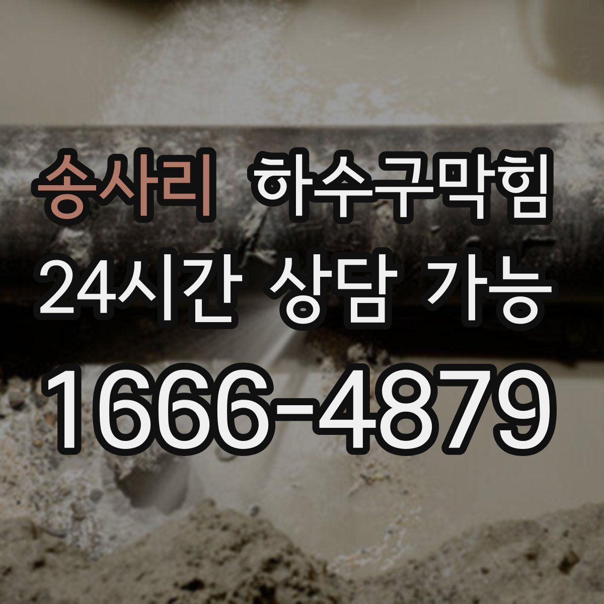 송사리 하수구막힘