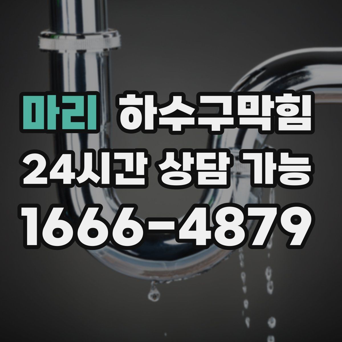 마리 하수구막힘