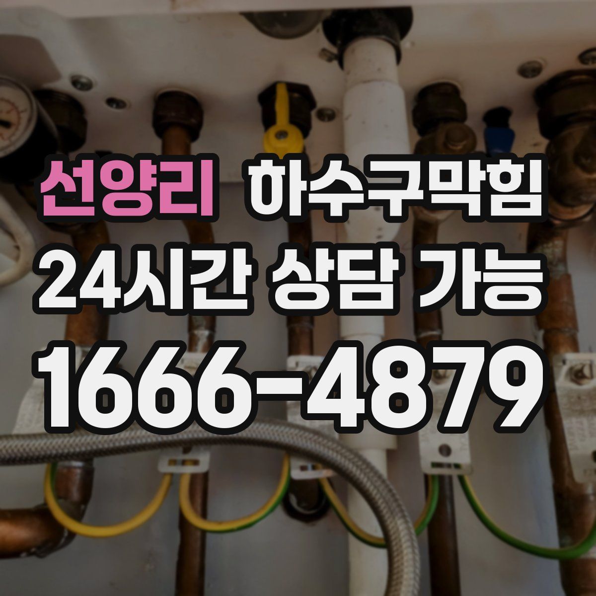 선양리 하수구막힘