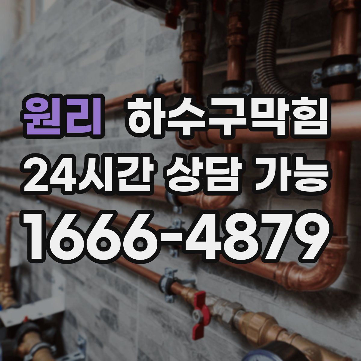 원리 하수구막힘