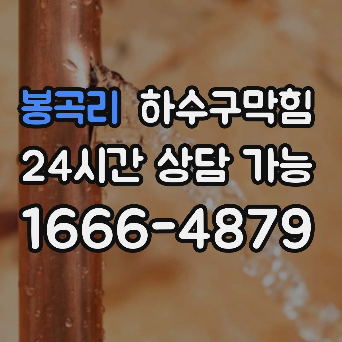 봉곡리 하수구막힘