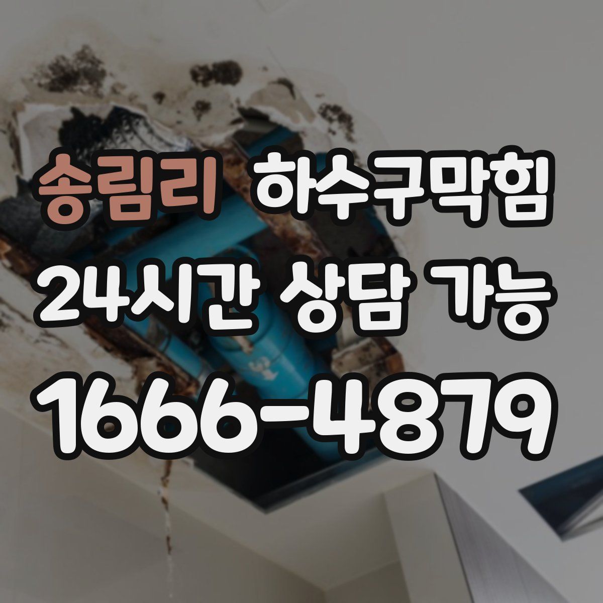 송림리 하수구막힘